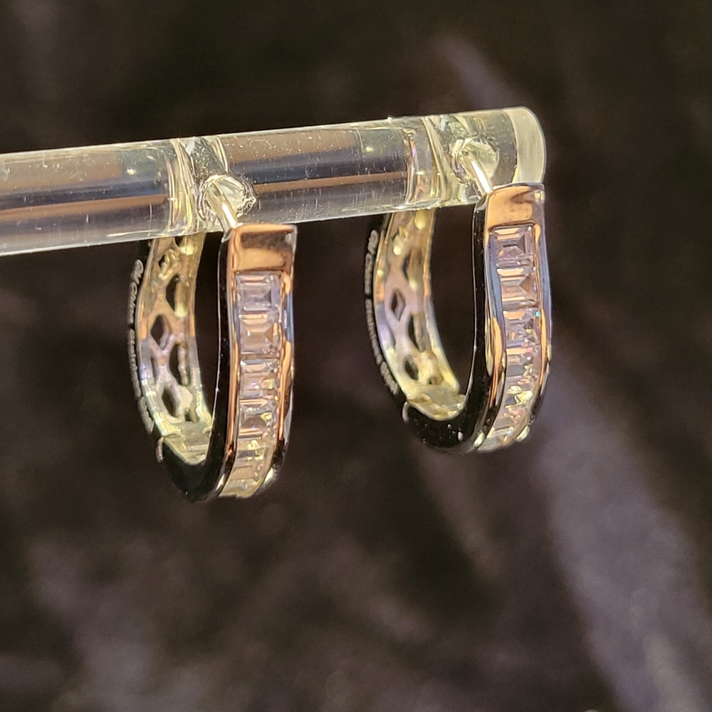 Stainless Steel Earrings